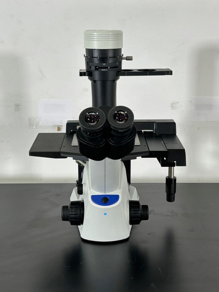 Image of Olympus CKX53 Inverted Microscope